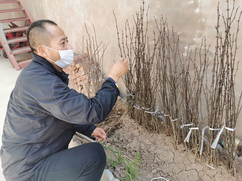 1f9fef2376fa4e8b9ea0b05b381e4d7d.jpg 微信图片_20200318161648.jpg