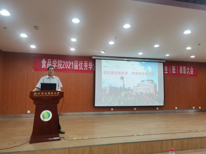 17539612f51648708bb916deb95ecbb0.jpg 王云锋副处长作培训1.jpg
