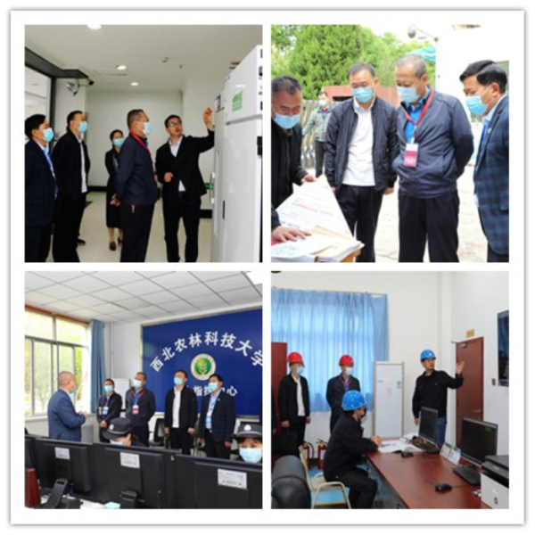 组合1.jpg