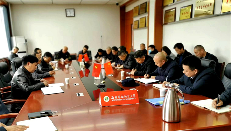 会议现场.jpg